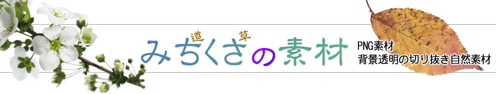 みちくさの素材 トップページ